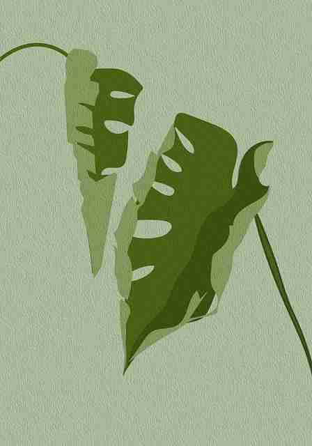 榴莲社区app——交互革命内容攻略终极剖析（177 ）